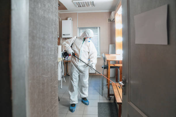 Best Forensic Mold Investigation  in Rapid City, MI