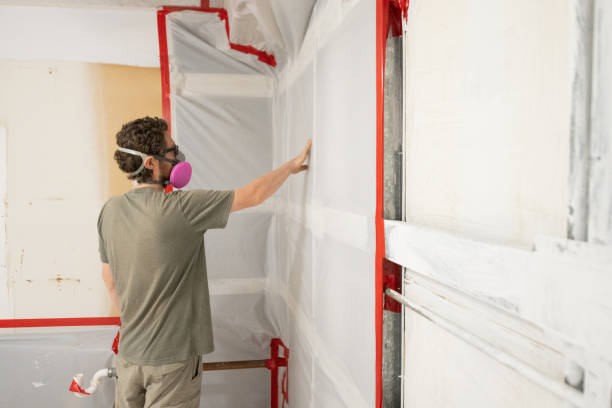 Best Mold Removal for HVAC Installations  in Rapid City, MI