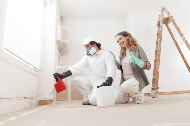 Best Real Estate Mold Inspection  in Rapid City, MI